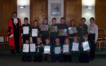 Cubs Silver Award